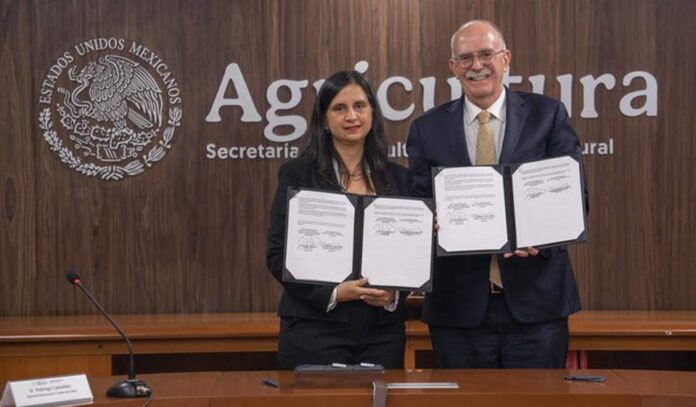 México y Chile fortalecen cooperación agroalimentaria con acuerdos en sanidad, ciencia y comercio justo
