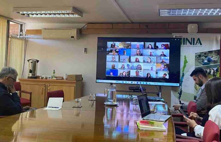 PROCISUR lanza proyecto digital e INIA Chile apuesta por integrar a pequeños productores de arándanos de la Región del Maule