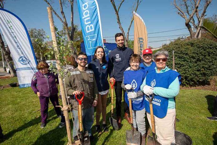 Plan de arborización urbana de Maipú avanza con la plantación de 130 árboles