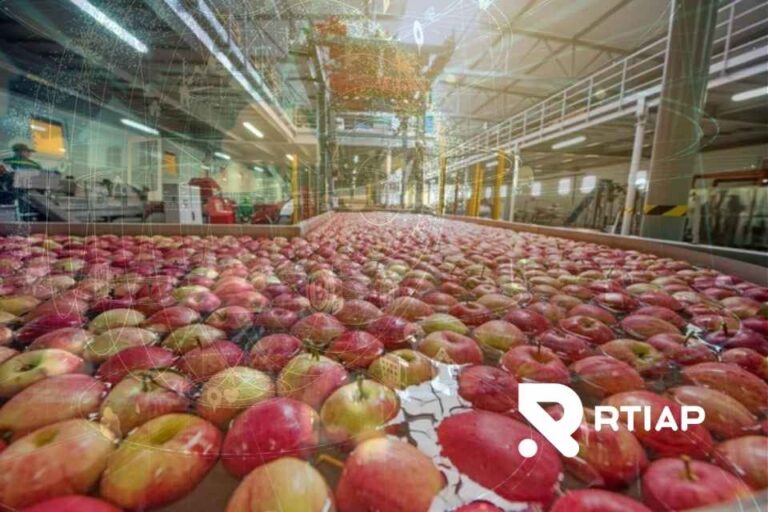 RTIAP lanza "Termometría Lite" para packing de frutas: monitoreo 24/7 con despliegue ágil y costo de entrada reducido, Termometría packing