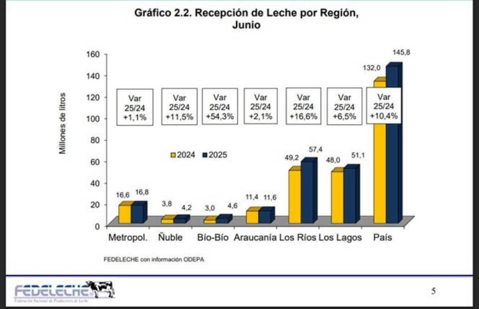 Recepción nacional de leche registra alza de 7,9% durante el primer semestre, con impulso regional