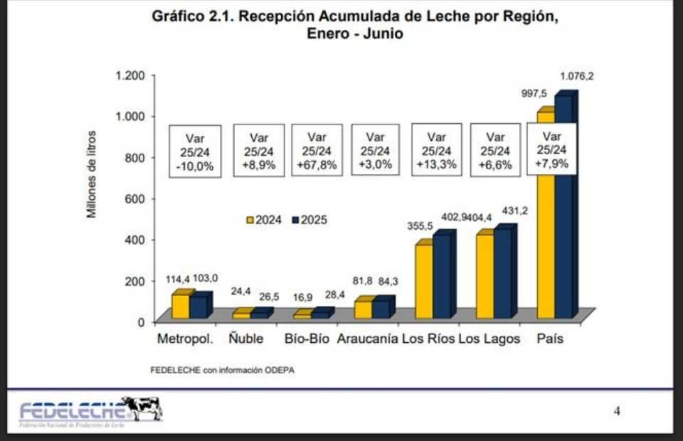 Recepción nacional de leche registra alza de 7,9% durante el primer semestre, con impulso regional
