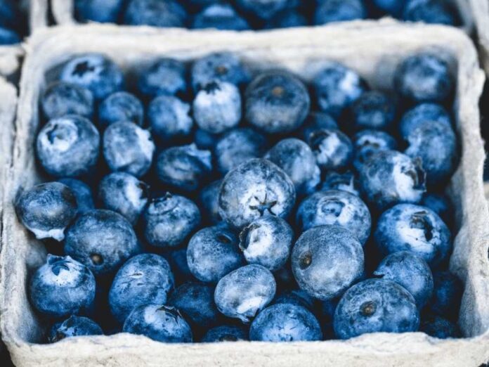 Recubrimientos comestibles para frutas: INIA La Platina publica nueva ficha técnica