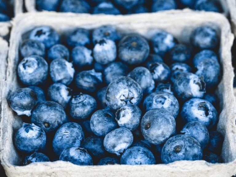 Recubrimientos comestibles para frutas: INIA La Platina publica nueva ficha técnica