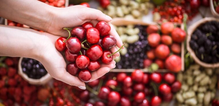 Temporada de cerezas en Chile proyecta generar hasta 600 mil empleos temporales