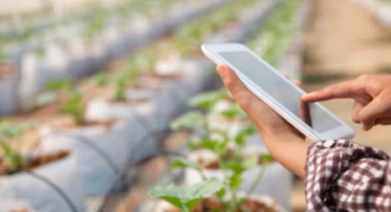 América Latina acelera su liderazgo en innovación agrícola sostenible y digital