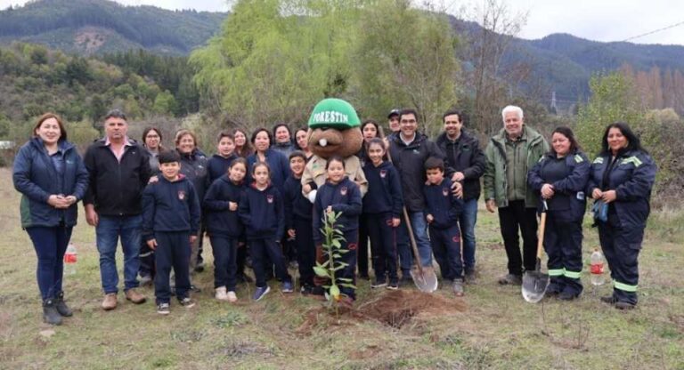 CONAF realizó jornada de reforestación en Escuela del sector Vega El Molino de Longaví