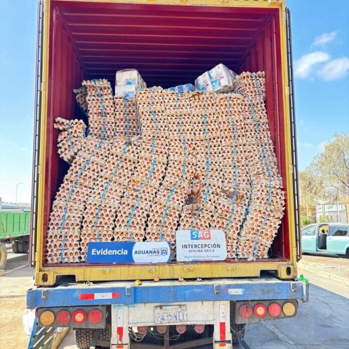 Con portal escáner SAG y Aduanas descubren contrabando de 400 mil huevos en la frontera con Bolivia 