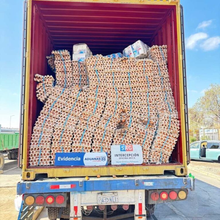 Con portal escáner SAG y Aduanas descubren contrabando de 400 mil huevos en la frontera con Bolivia 