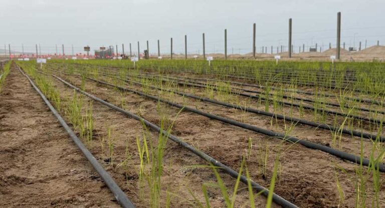 De Norte a Sur: Cómo el calentamiento global borra las fronteras climáticas del país