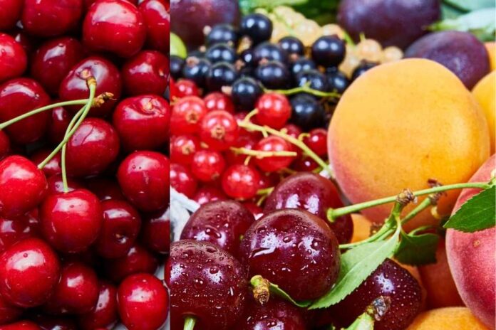 La FDA establece nuevos estándares para fortalecer la seguridad de frutas y verduras en EE.UU.