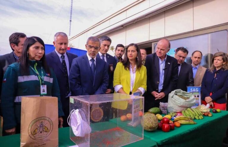 Gobierno presenta el Plan “NO a la mosca de la fruta, Chile exporta confianza”