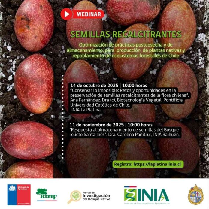 INIA La Platina continua con el ciclo de webinars sobre conservación de semillas recalcitrantes de la flora nativa chilena