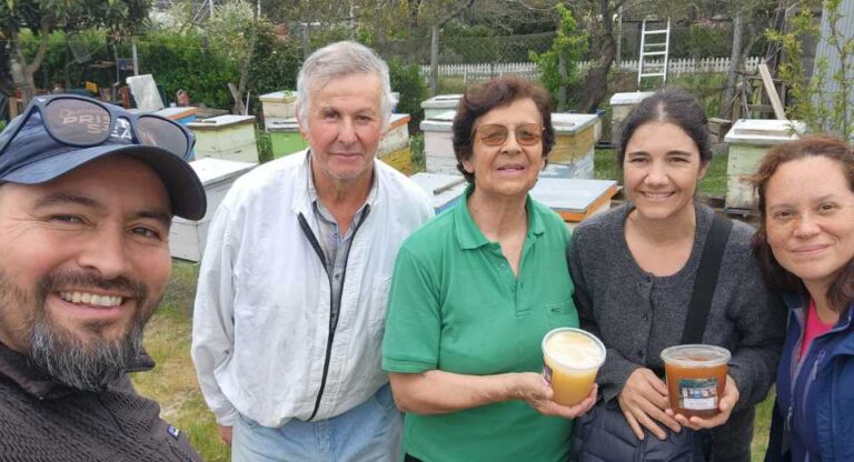 Investigación analizó la salud de abejas a través de su sonido y sistema inmune