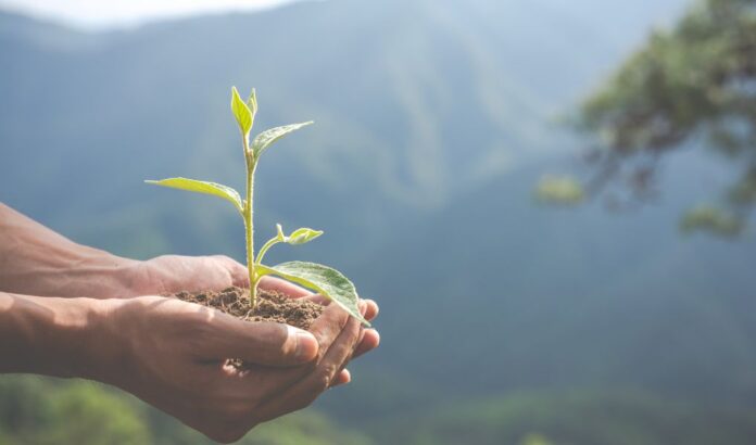 Día Internacional contra el Cambio Climático: Los avances hacia la carbono neutralidad y el nuevo estándar de responsabilidad corporativa