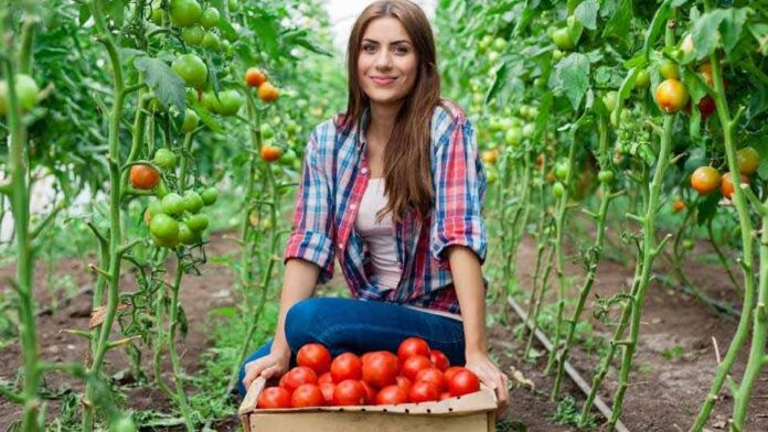 Nueva herramienta digital de Odepa promueve la equidad de género en el agro