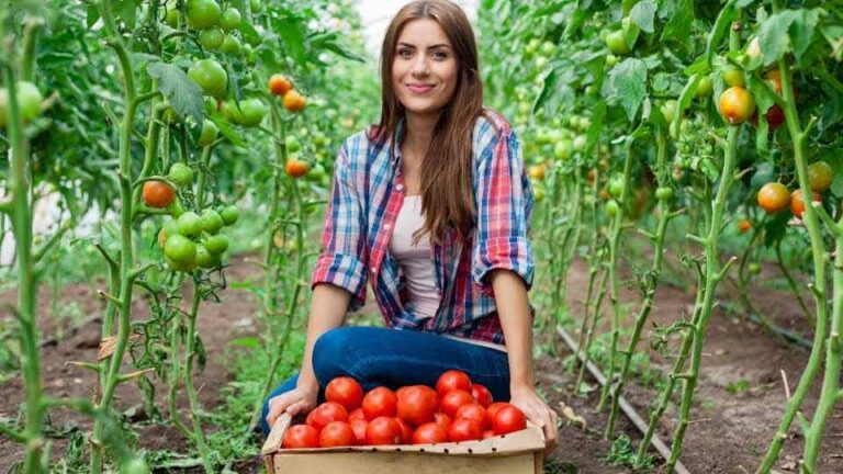 Nueva herramienta digital de Odepa promueve la equidad de género en el agro