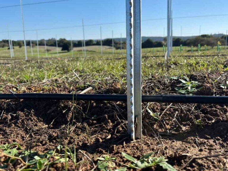 POSTE AZA impulsa la eficiencia en el agro chileno