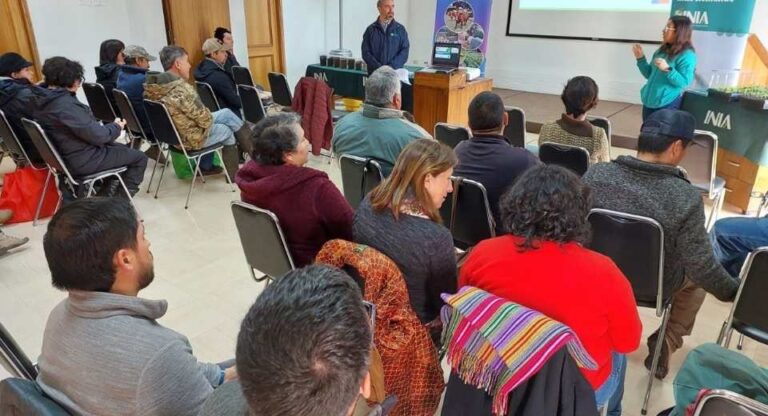 Remehue impulsa prácticas sustentables en cultivos y hortalizas de la agricultura familiar campesina