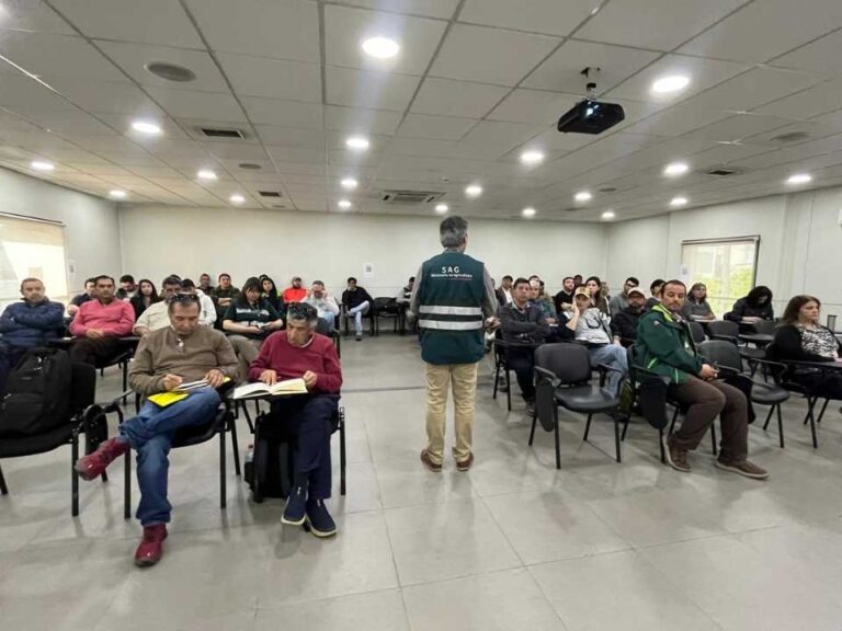 SAG Biobío informa inicio de nueva modalidad para realizar trámite de subdivisión de predios rústicos