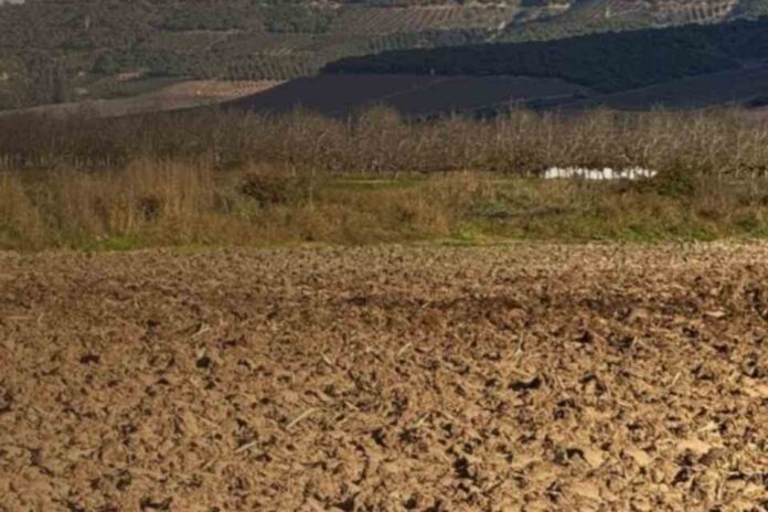 Segundo barómetro de robo agrícola