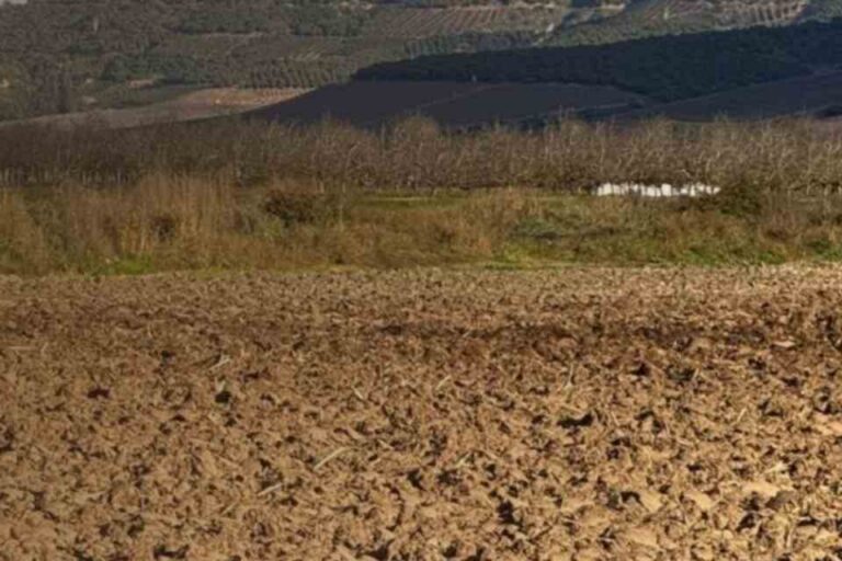 Segundo barómetro de robo agrícola
