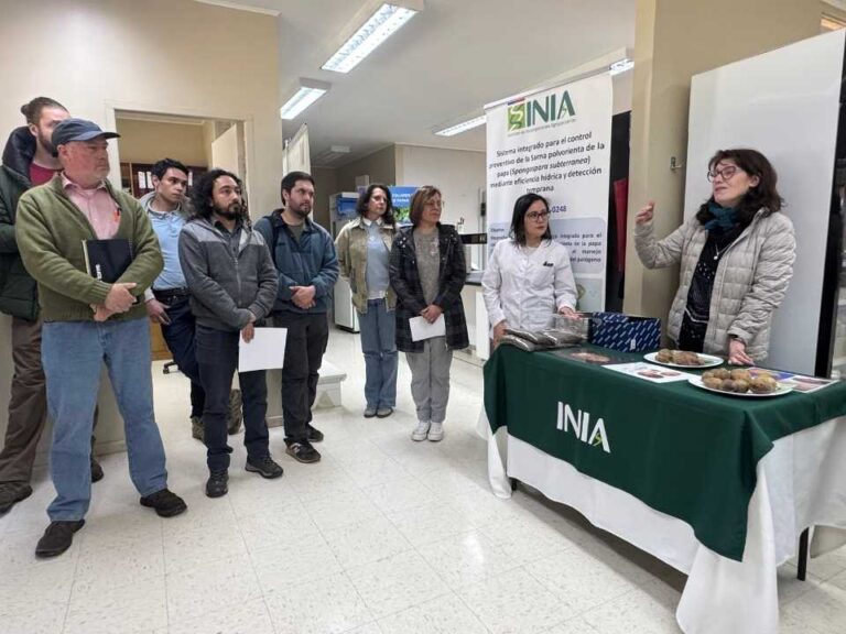 Taller sobre el manejo de la sarna polvorienta de la papa reunió a especialistas, asesores y productores en INIA Remehue