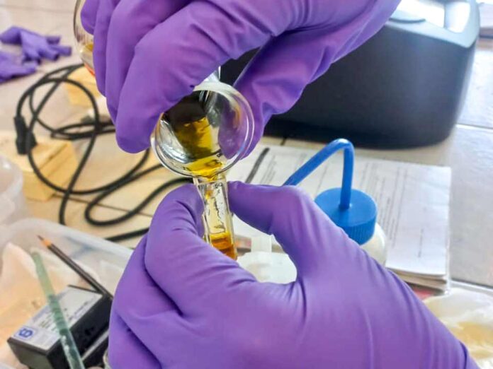 Vinculación académica fortalece la investigación en suelos con formación de capital humano avanzado