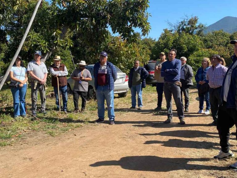 Agricultores de Aconcagua fortalecen su capacidad técnica en operación y mantención de sistemas de riego para mejorar la eficiencia hídrica