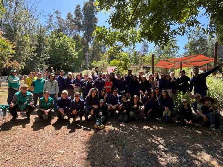 Arcadis Chile promueve la biodiversidad urbana con la creación de un jardín polinizador en Santiago
