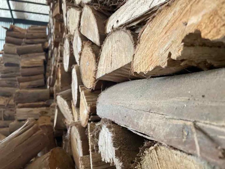 Biobío hace el llamado a postular al Sello Calidad de Leña para fortalecer el mercado y mejorar la calidad del aire en la región