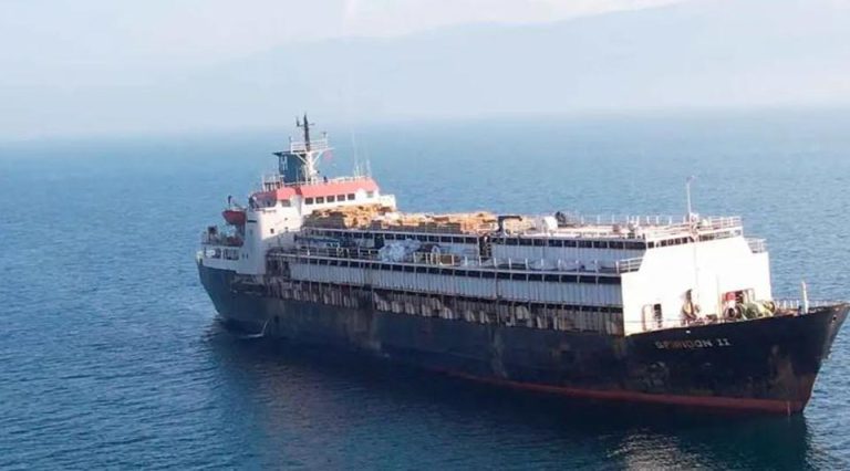 Casi 3 mil vacas uruguayas no pudieron ser descargadas en Turquía y morirían de hambre en el regreso
