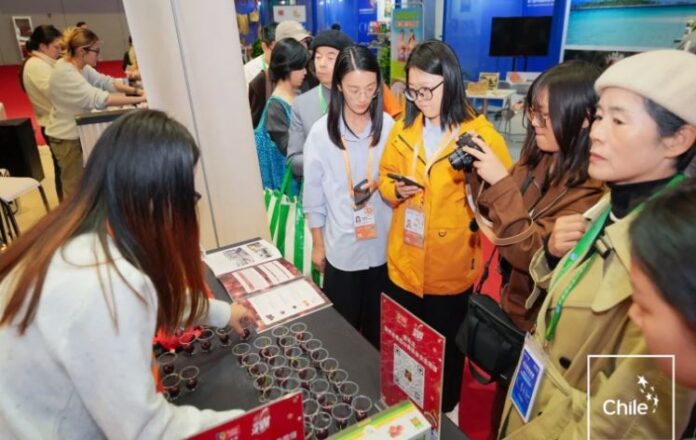 China: Cereza, la fruta estrella del pabellón chileno en CIIE 2025