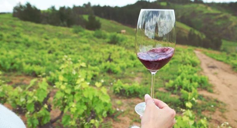 Corfo abre concurso para cofinanciar proyectos de inversión para fortalecer al sector vitivinícola del Valle del Itata