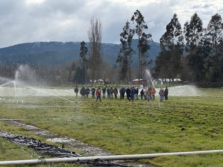 Corfo apoya diplomado en Gestión Hídrica: Esperanza y soluciones frente a la escasez de agua en La Araucanía