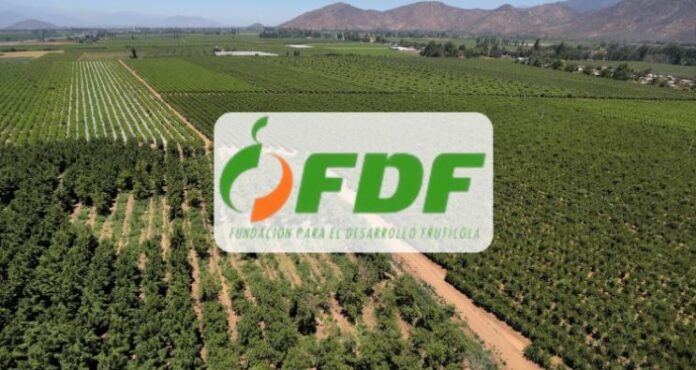 FDF apunta a la sustentabilidad con nuevo Programa de Difusión Tecnológica (PDT) en la Región de O’Higgins