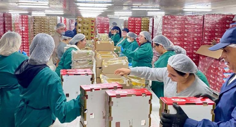 Inauguran moderno Packing de Cerezas en San Nicolás que fortalecerá la vocación agroexportadora de Ñuble