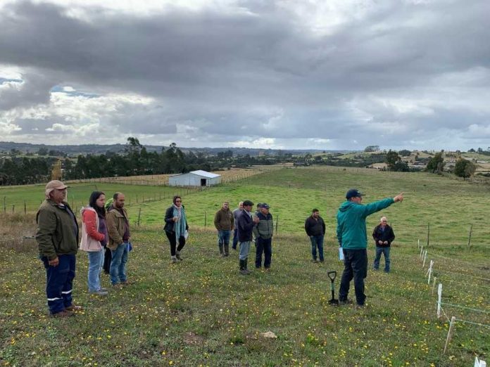 Investigadores de INIA dan a conocer prácticas agroecológicas para controlar el gusano blanco en Chiloé