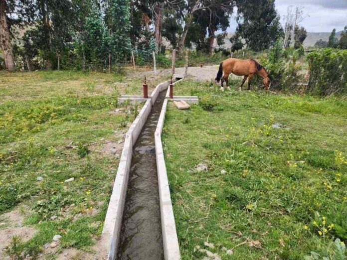 Pequeños agricultores de Canela mejoran el riego de sus cultivos con nuevas obras de revestimiento bonificada por la Ley de Riego