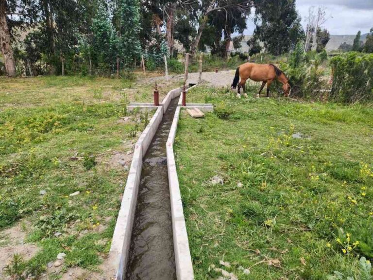 Pequeños agricultores de Canela mejoran el riego de sus cultivos con nuevas obras de revestimiento bonificada por la Ley de Riego