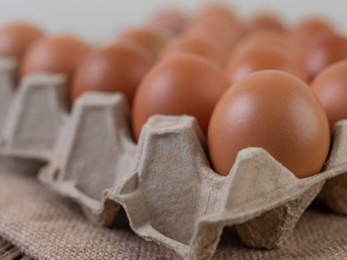 Producción de huevos de consumo aumentó 6,1% en septiembre
