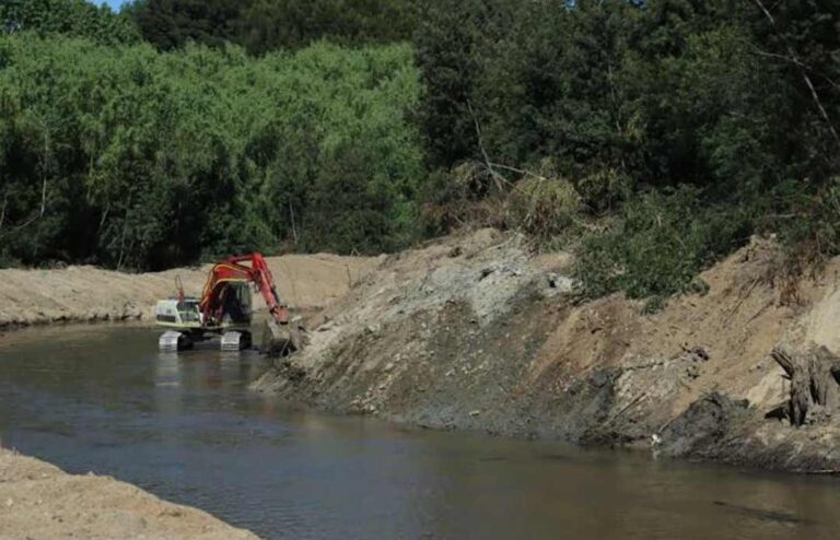 REALIZAN LIMPIEZA DE 12 KILÓMETROS EN RÍO ANDALIÉN