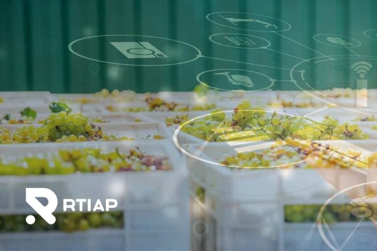 Desafíos de automatización de termometría y digitalización de procesos de pre-frío en packing de uvas: una ventaja competitiva vital
