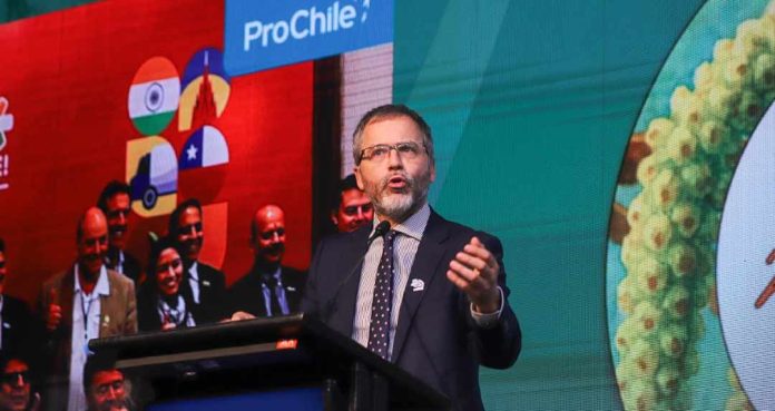 Director General de ProChile en Exponut 2025: "Chile se consolida como uno de los principales proveedores de nueces a nivel mundial"