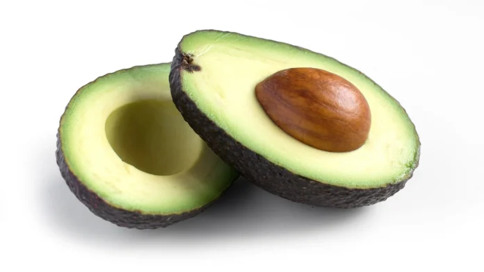 Europa se consolida como mercado clave para la palta: Alta competencia y consumo al alza