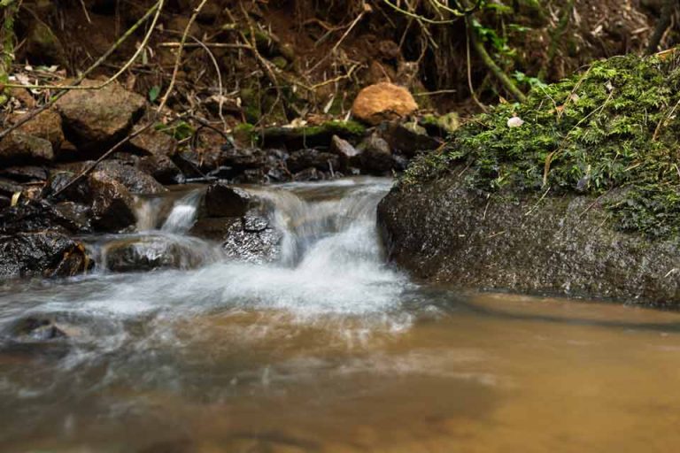 Aclara adelanta renuncia a todos sus derechos de agua: empresa ya no posee derechos hídricos