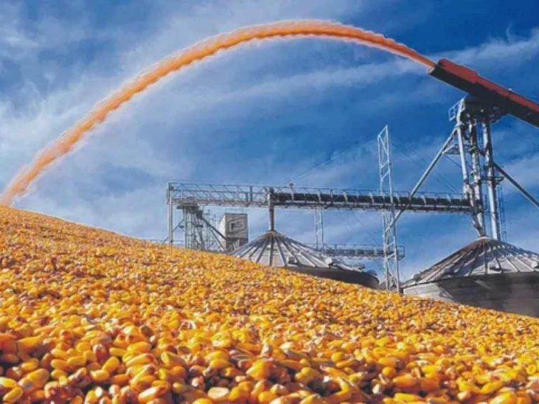 Argentina | El agro argentino avanza con buenas perspectivas