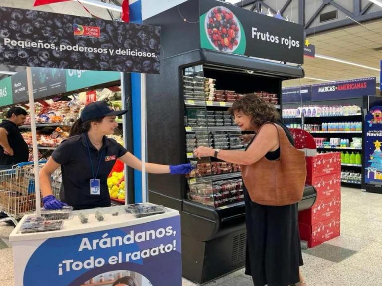 “Pequeños, poderosos y deliciosos. Arándanos, ¡Todo el raaato!”: Comité de Arándanos de Frutas de Chile estrena promoción para incentivar el consumo de arándanos frescos en el país