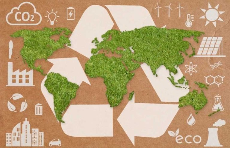 EEUU | La IFPA presenta una hoja de ruta global para productos agrícolas sostenibles