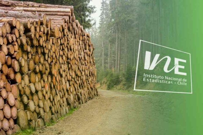 Exportaciones forestales del Biobío, IInstituto Nacional de Estadísticas, INE